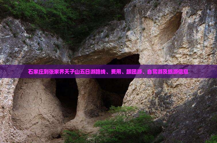 石家庄到张家界天子山五日游