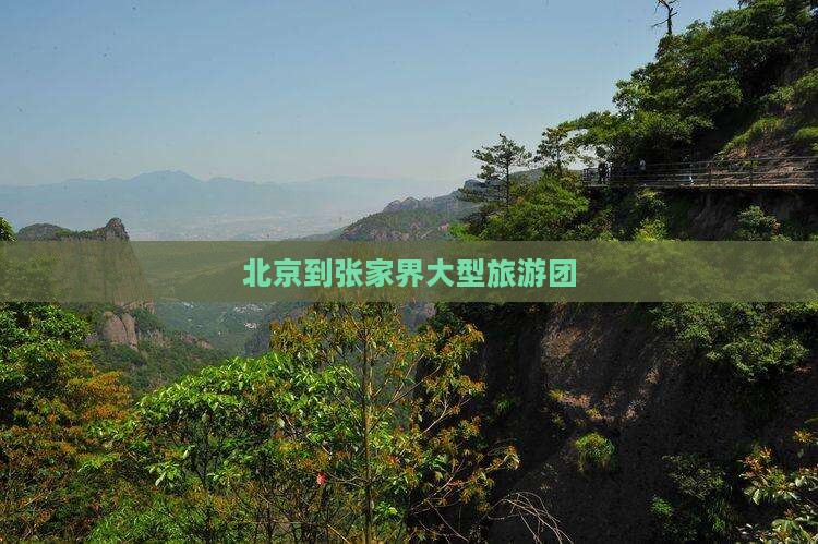 北京到张家界大型旅游团
