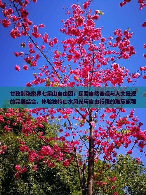 甘孜到张家界七星山自由团