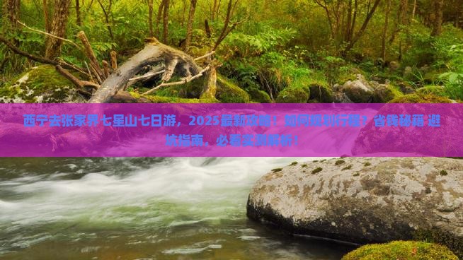 西宁去张家界七星山七日游