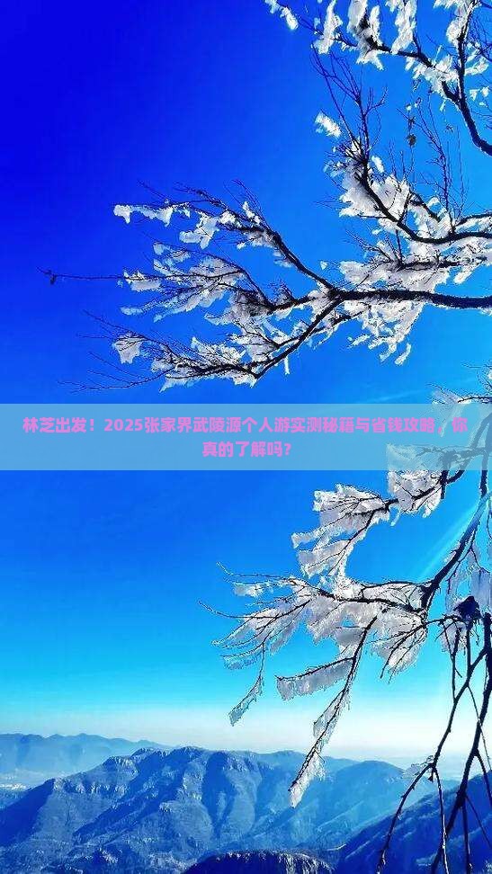 林芝去张家界武陵源个人游