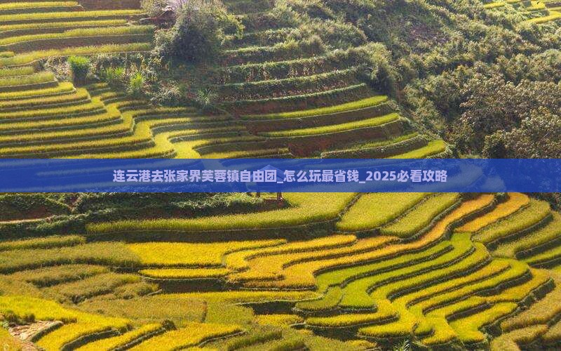 连云港去张家界芙蓉镇自由团