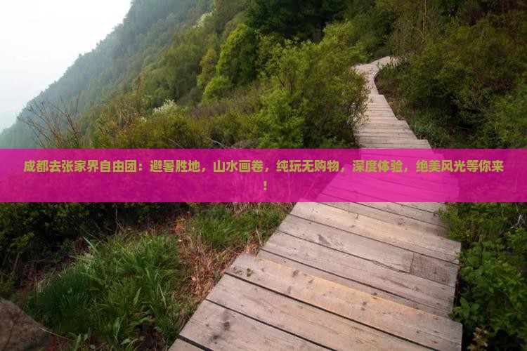 成都去张家界自由团