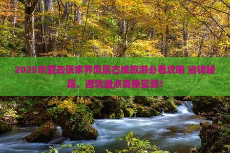 东营去张家界凤凰古城旅游
