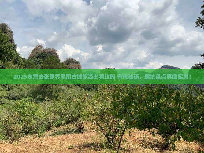东营去张家界凤凰古城旅游