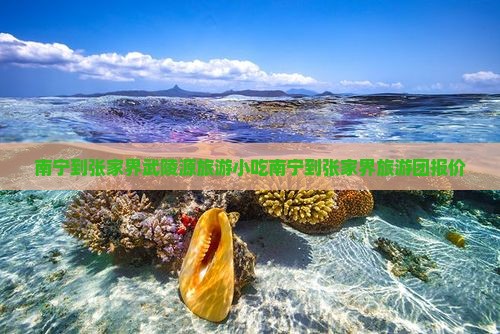 南宁到张家界武陵源旅游小吃