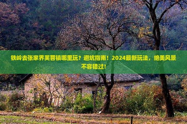 铁岭去张家界芙蓉镇哪里玩