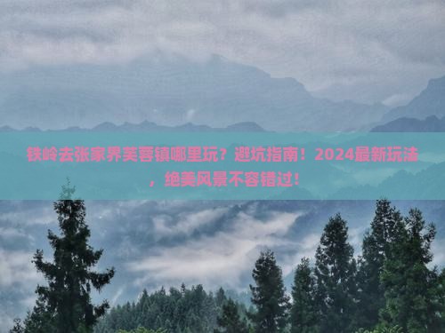 铁岭去张家界芙蓉镇哪里玩