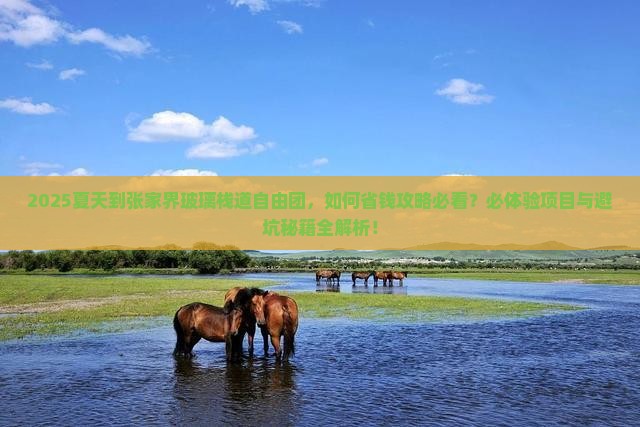 夏天到张家界玻璃栈道自由团