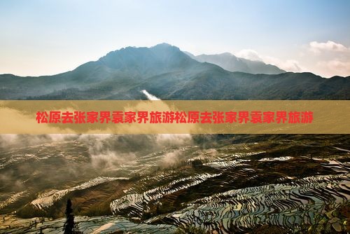松原去张家界袁家界旅游