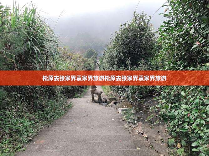 松原去张家界袁家界旅游