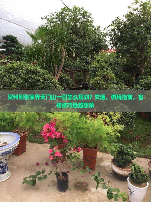 贺州到张家界天门山一日