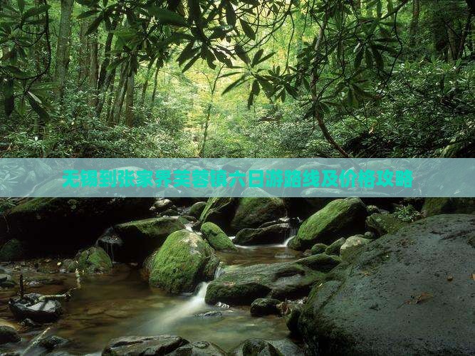 无锡到张家界芙蓉镇六日游