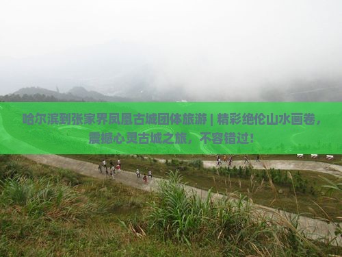 哈尔滨到张家界凤凰古城团体旅游
