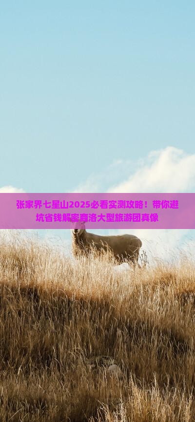 商洛去张家界七星山大型旅游团