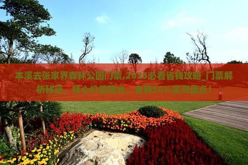 本溪去张家界森林公园门票