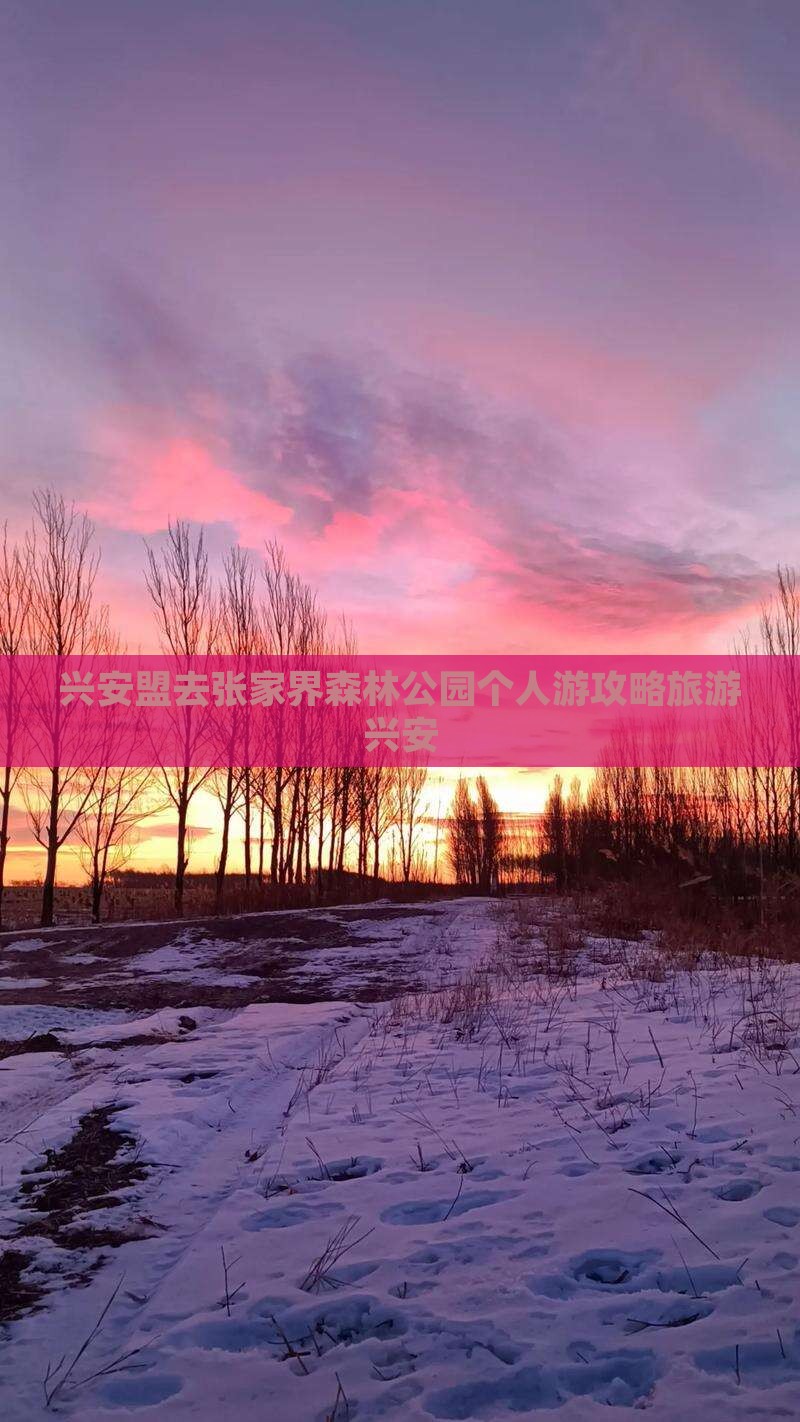 兴安盟去张家界森林公园个人游