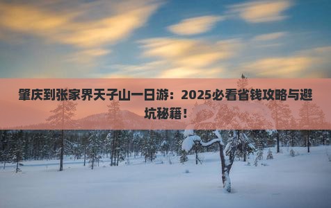 肇庆到张家界天子山一日