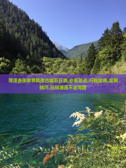 菏泽去张家界凤凰古城五日游