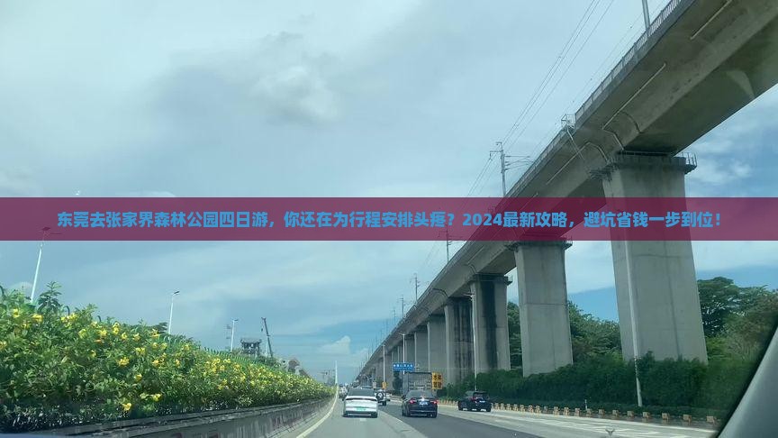 东莞去张家界森林公园四日游