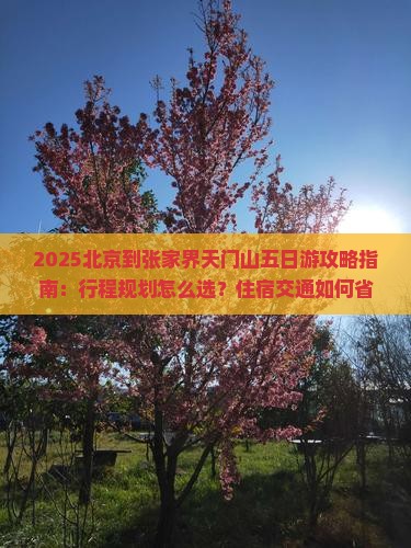 北京到张家界天门山五日游 北京到张家界天门山五日游