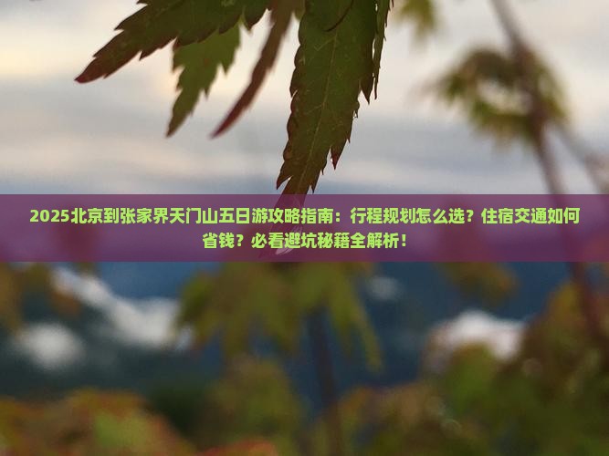 北京到张家界天门山五日游 北京到张家界天门山五日游