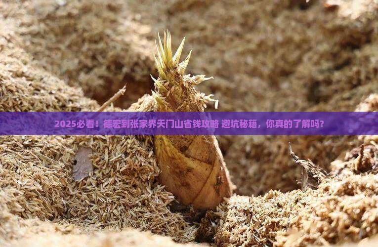德宏到张家界天门山攻略 德宏到张家界天门山攻略
