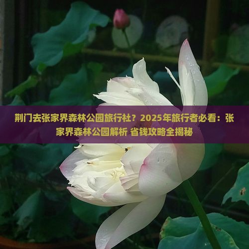 荆门去张家界森林公园旅行社