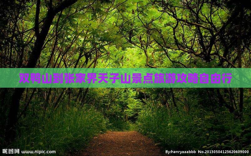 双鸭山到张家界天子山自由行