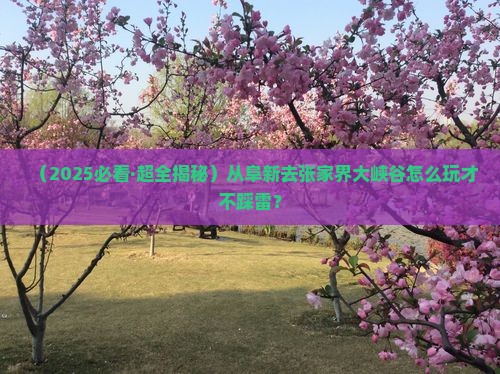 阜新到张家界大峡谷哪里玩