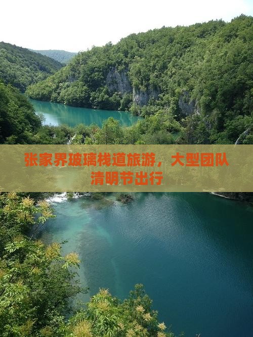 清明节去张家界玻璃栈道大型旅游团