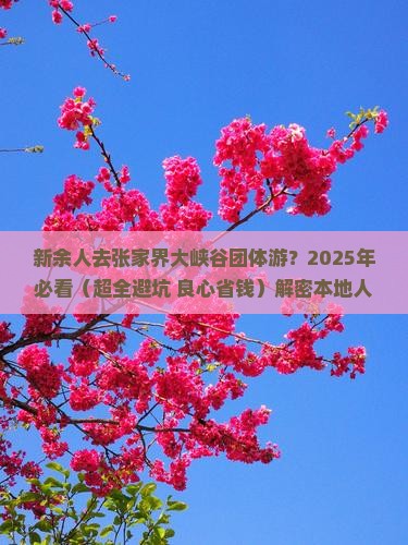 新余去张家界大峡谷团体旅游