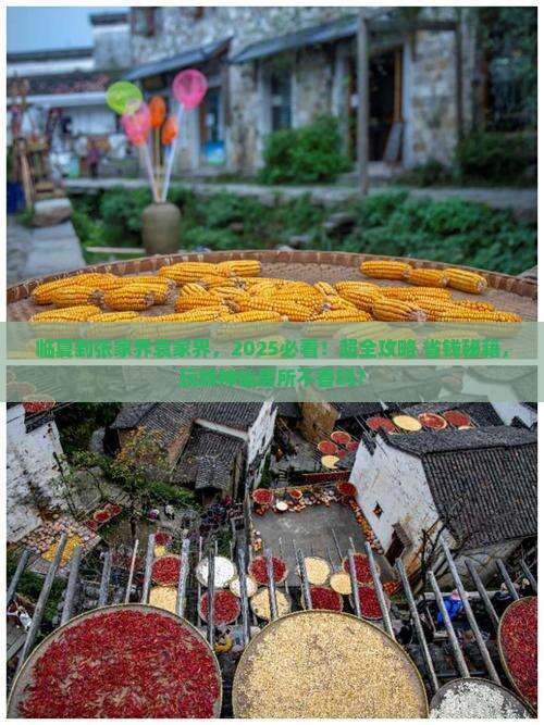 临夏到张家界袁家界必去地 临夏到张家界袁家界必去地