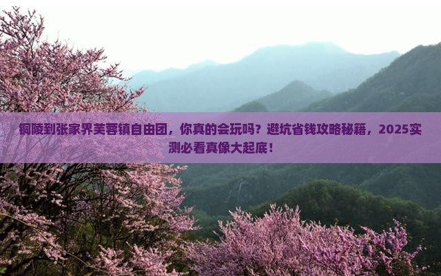 铜陵到张家界芙蓉镇自由团