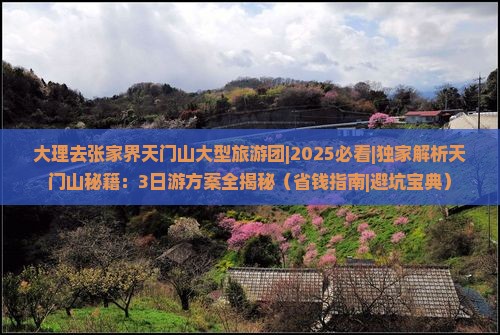 大理去张家界天门山大型旅游团