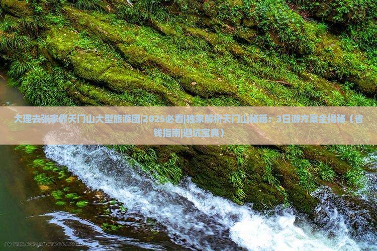 大理去张家界天门山大型旅游团