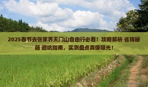 春节去张家界天门山自由行