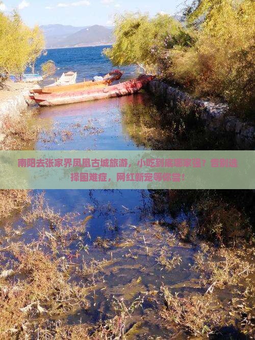 南阳去张家界凤凰古城旅游小吃