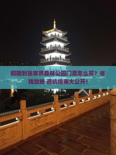 铜陵到张家界森林公园门票