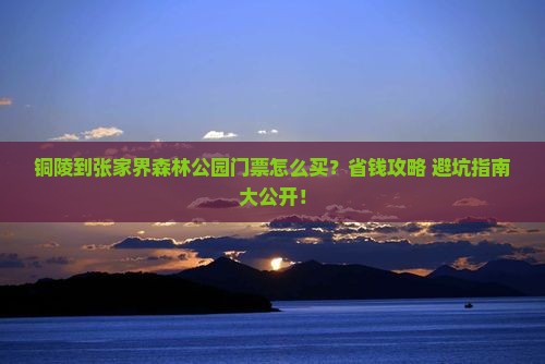 铜陵到张家界森林公园门票
