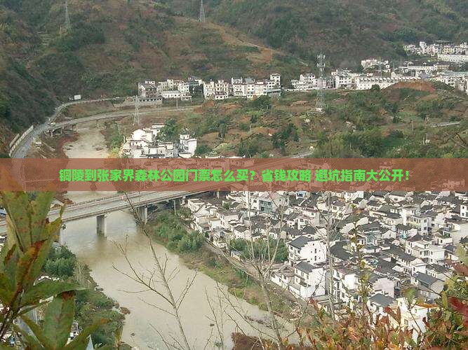 铜陵到张家界森林公园门票