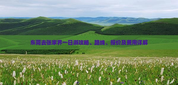 东莞去张家界一日