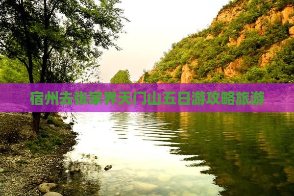 宿州去张家界天门山五日游