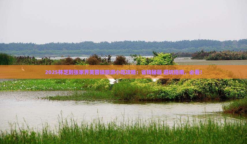 林芝到张家界芙蓉镇旅游小吃