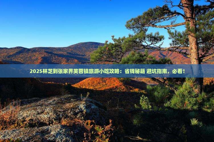 林芝到张家界芙蓉镇旅游小吃