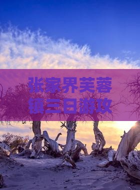 元旦到张家界芙蓉镇三日游