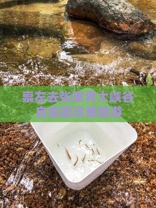 崇左去张家界大峡谷自由团