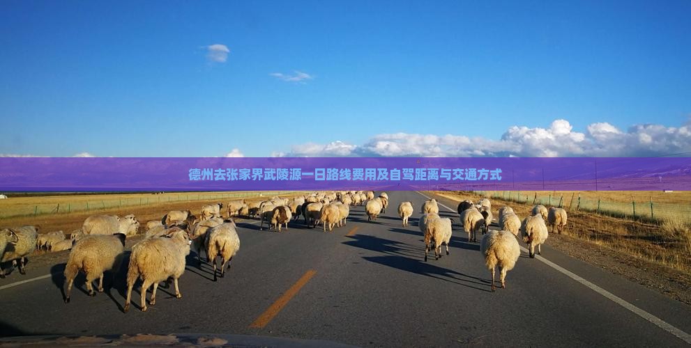 德州去张家界武陵源一日