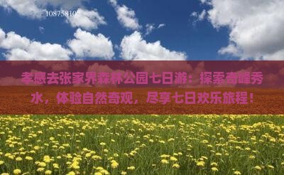 孝感去张家界森林公园七日游