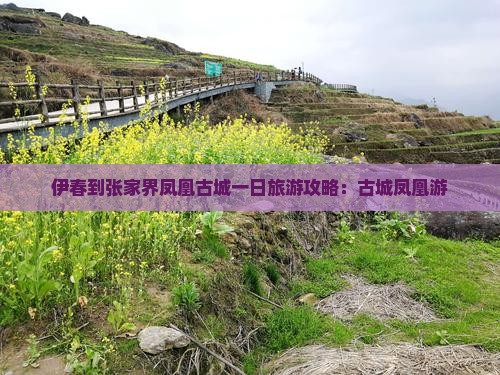 伊春到张家界凤凰古城一日